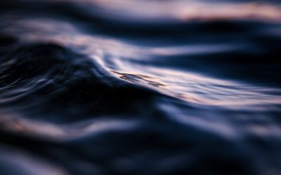 Važni dani, prazna mjesta: priča o tuzi i sjećanjima